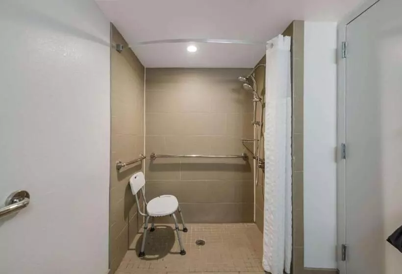 اتاق استاندارد با تخت بزرگ برای معلولان, Comfort Inn Newport News  Hampton I64
