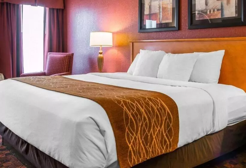 キングサイズベッドのスタンダードルーム, Comfort Inn & Suites And Conference Center