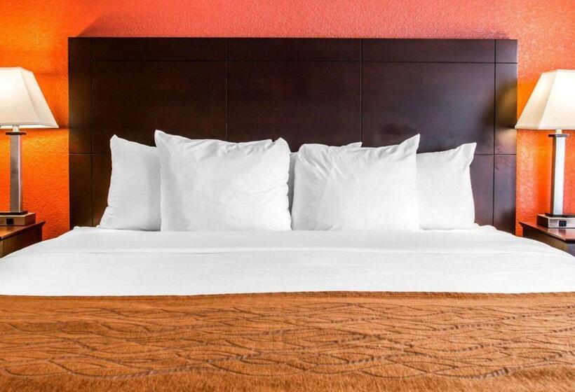 스탠다드 룸 킹사이즈 침대, Comfort Inn & Suites And Conference Center