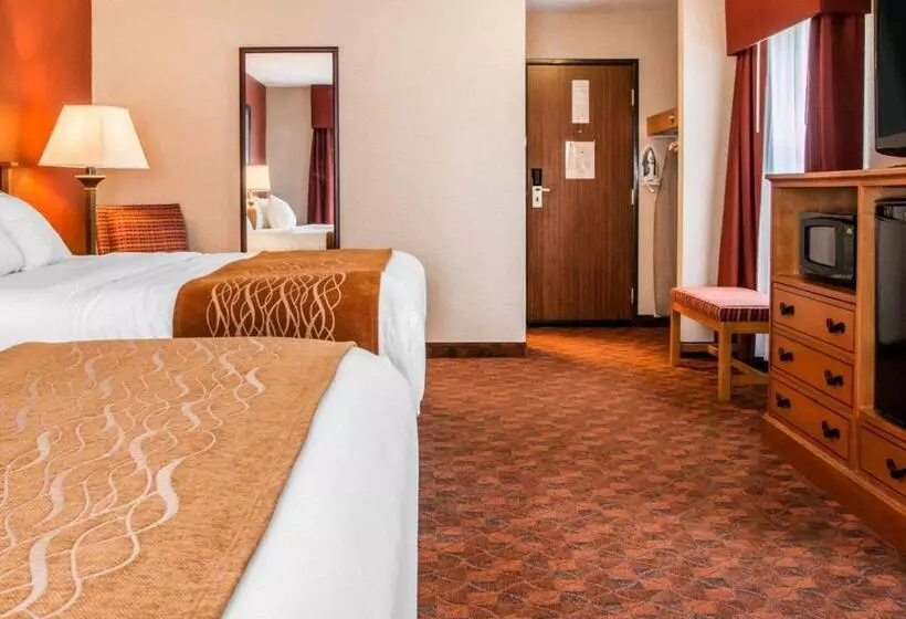 スタンダードルーム, Comfort Inn & Suites And Conference Center