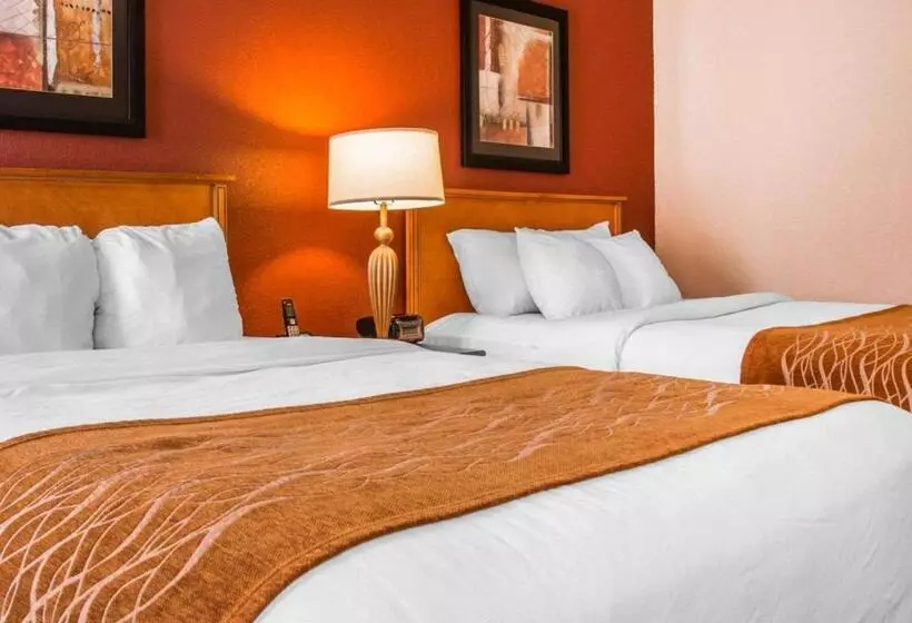 スタンダードルーム, Comfort Inn & Suites And Conference Center