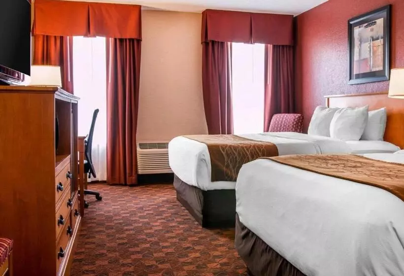 スタンダードルーム, Comfort Inn & Suites And Conference Center