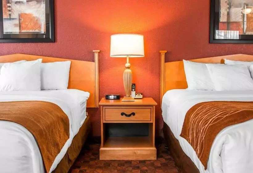 スタンダードルーム, Comfort Inn & Suites And Conference Center