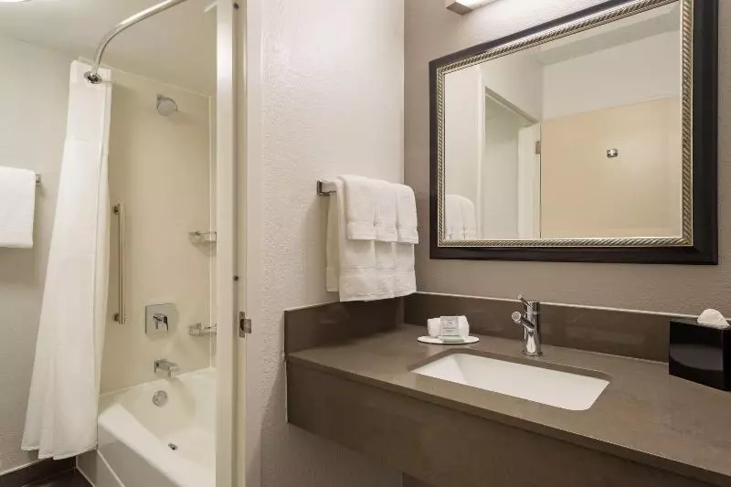 اتاق استاندارد با تخت بزرگ, Courtyard Anaheim Buena Park