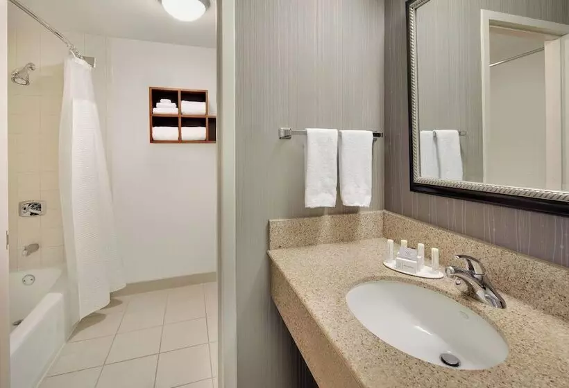 اتاق استاندارد با 2 تخت دوبل, Courtyard Dallas Addison Midway