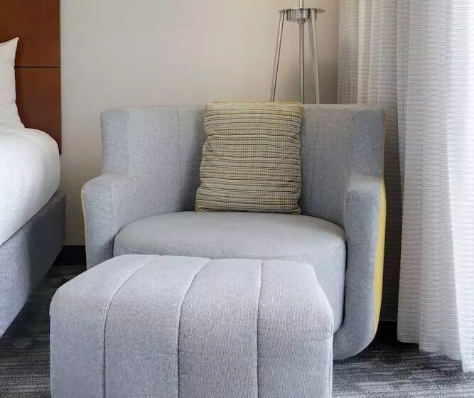 اتاق استاندارد با 2 تخت دوبل, Courtyard Dallas Addison Midway