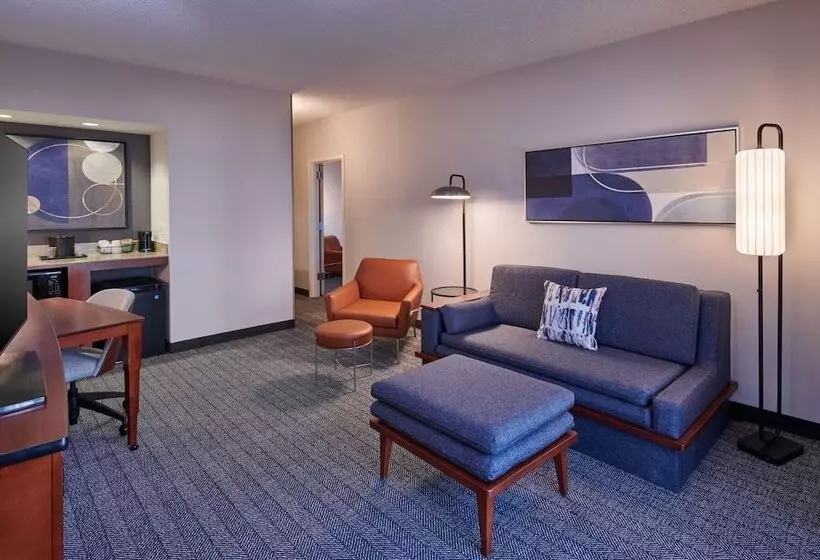 سوئیت برای معلولان, Courtyard Detroit Metro Airport Romulus