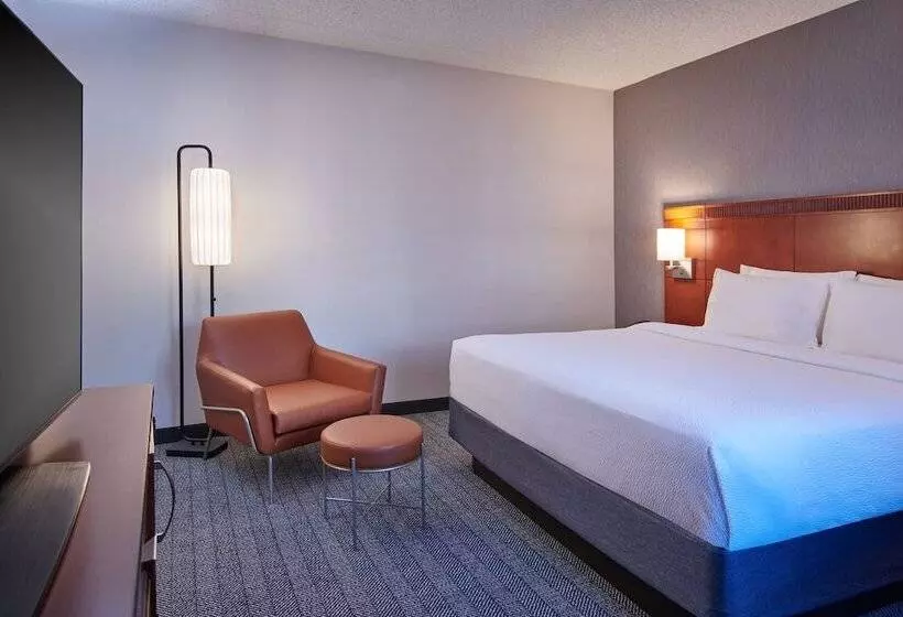 سوئیت برای معلولان, Courtyard Detroit Metro Airport Romulus