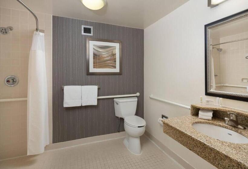 اتاق استاندارد با تخت بزرگ, Courtyard Chicago Wood Dale/itasca