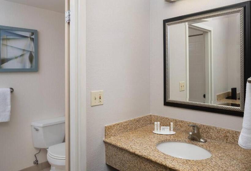 اتاق استاندارد با تخت بزرگ, Courtyard Chicago Wood Dale/itasca