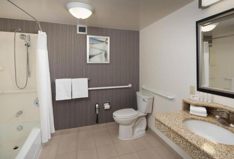 اتاق استاندارد با 2 تخت دوبل, Courtyard Chicago Wood Dale/itasca