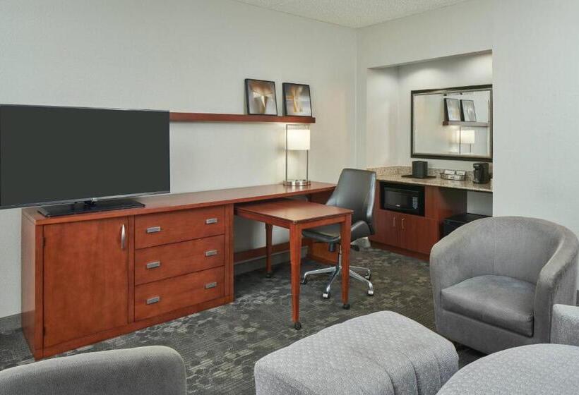 سوئیت با تخت بزرگ, Courtyard Chicago Wood Dale/itasca