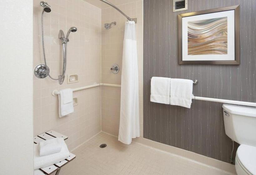 Suite met Kingsize Bed, Courtyard Chicago Wood Dale/itasca