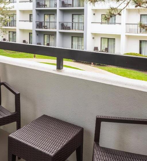 سوئیت با تخت بزرگ, Courtyard Chicago Wood Dale/itasca