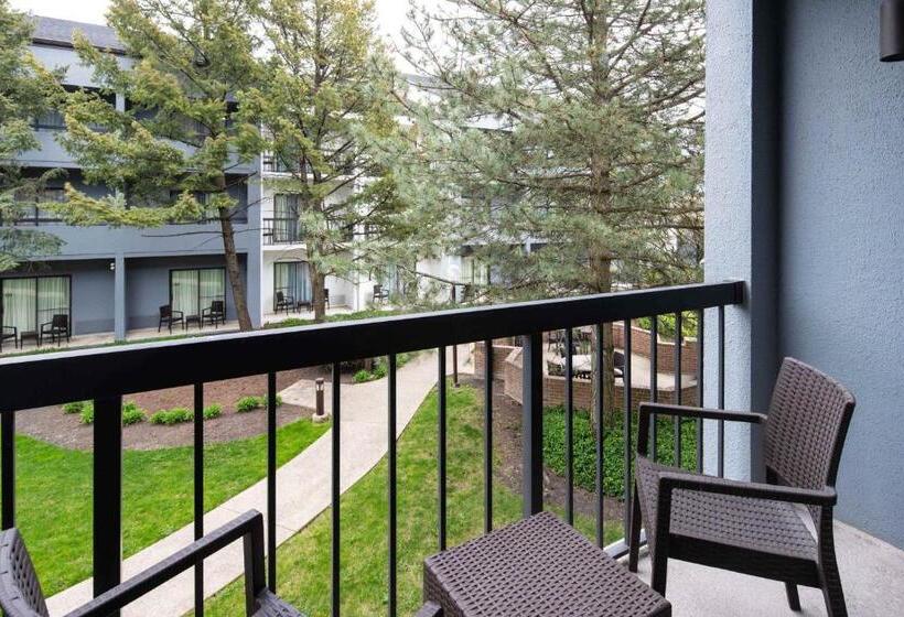 سوئیت با تخت بزرگ, Courtyard Chicago Wood Dale/itasca