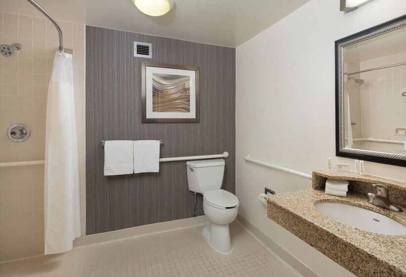 اتاق استاندارد با 2 تخت دوبل, Courtyard Chicago Wood Dale/itasca