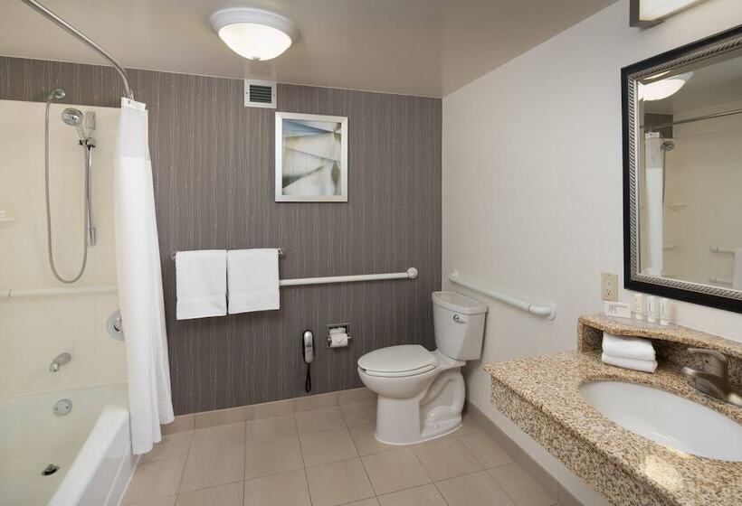 اتاق استاندارد با 2 تخت دوبل, Courtyard Chicago Wood Dale/itasca