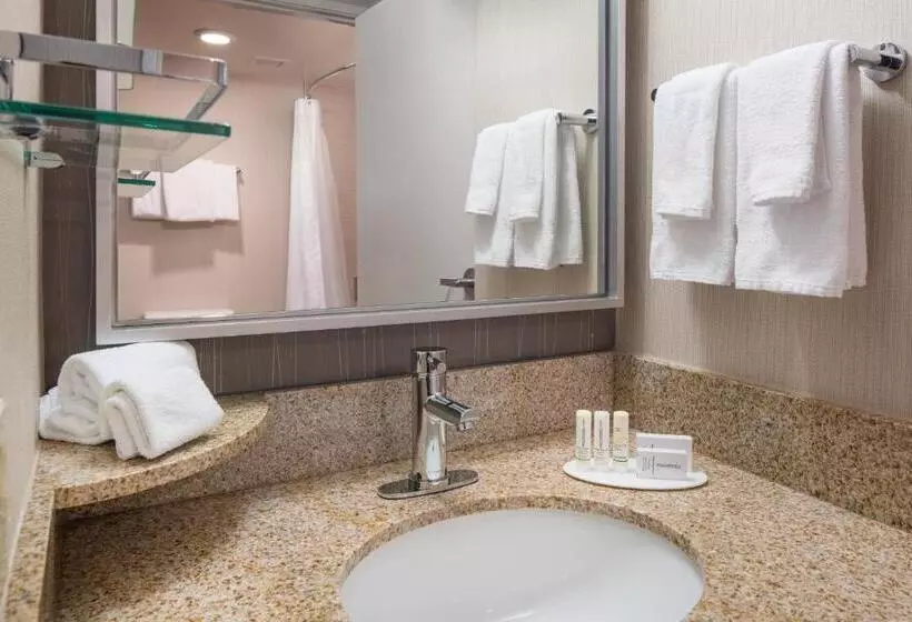 اتاق استاندارد با تخت بزرگ, Courtyard By Marriott Richmond Berkeley