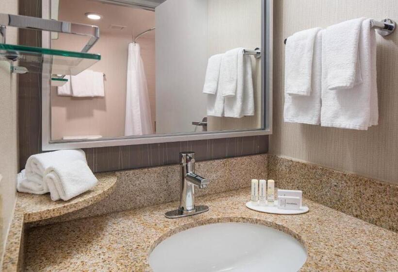 Suite Łóżko King Size, Courtyard By Marriott Richmond Berkeley