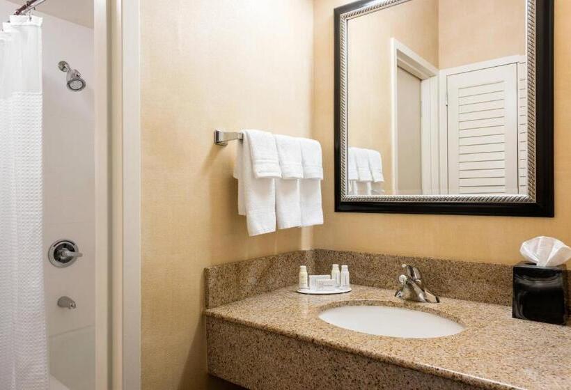 스탠다드 룸 킹사이즈 침대, Courtyard St. Louis Creve Coeur