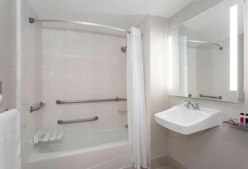 身障者適用キングサイズベッドルーム, Days Inn By Wyndham Orlando Conv. Center/international Dr