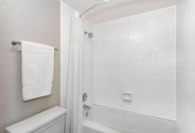 اتاق استاندارد با 2 تخت دوبل, Days Inn By Wyndham Orlando Convention Center International Drive