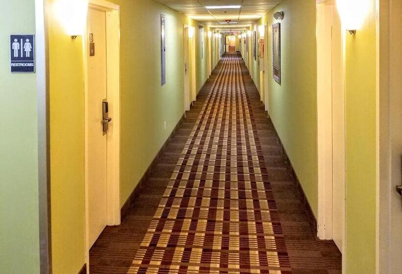 اتاق کلاس بیزنس, Days Inn By Wyndham Windsor Locks / Bradley Intl Airport