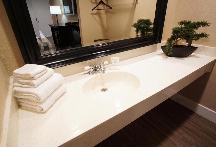 חדר סטנדרט, The Dixie Orange County