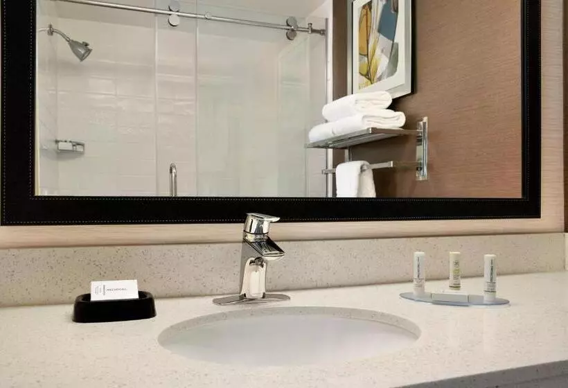 身障者適用キングサイズベッドルーム, Fairfield Inn By Marriott Philadelphia West Chester/exton