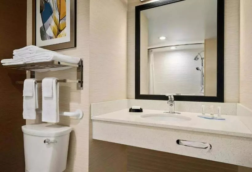 身障者適用スタンダードルーム, Fairfield Inn By Marriott Philadelphia West Chester/exton