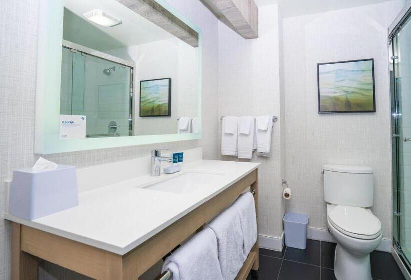 带大床的标准间, Four Points Marriott Salt Lake City Airport