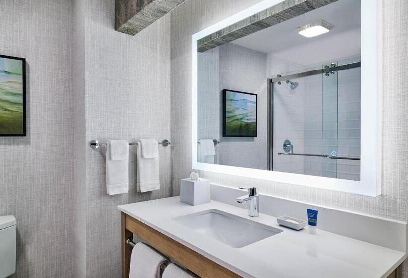 带大床的标准间, Four Points Marriott Salt Lake City Airport