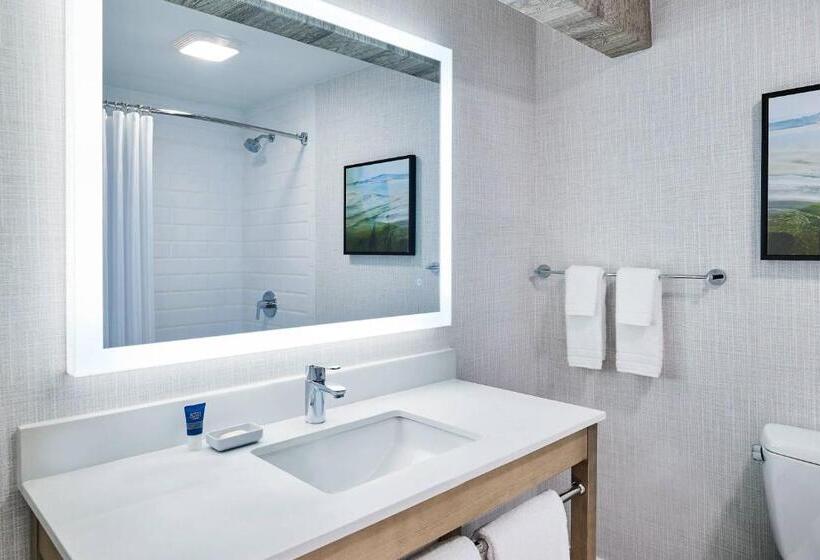 小型套房, Four Points Marriott Salt Lake City Airport