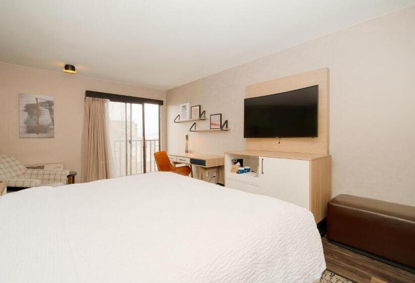 带大床的标准间, Four Points Marriott Salt Lake City Airport