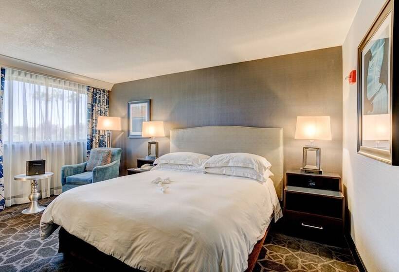 غرفة قياسية لذوى الاحتياجات الخاصة, Hilton Concord