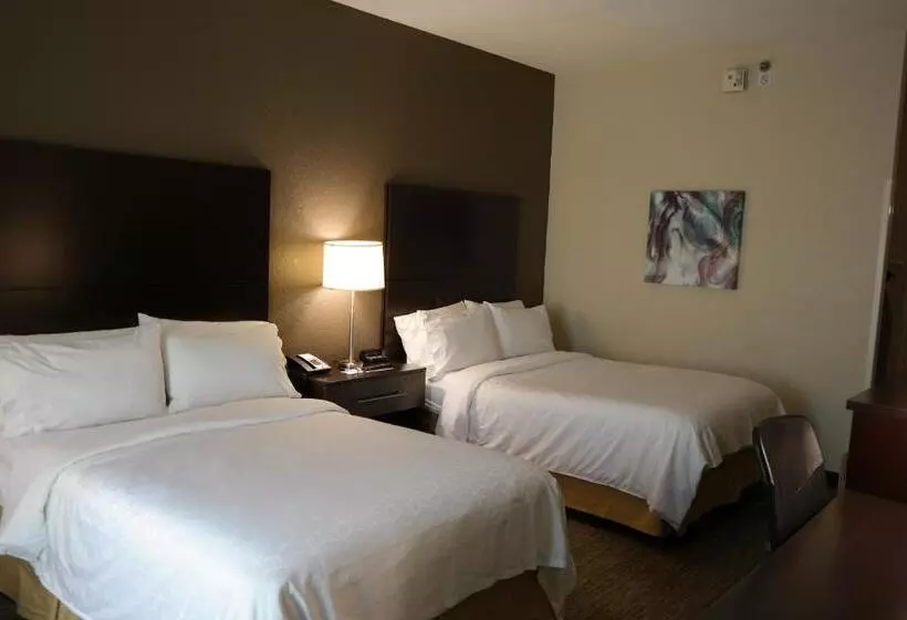 ２ダブルベッドのスタンダードルーム, Holiday Inn Express Fredericksburg   Southpoint, An Ihg