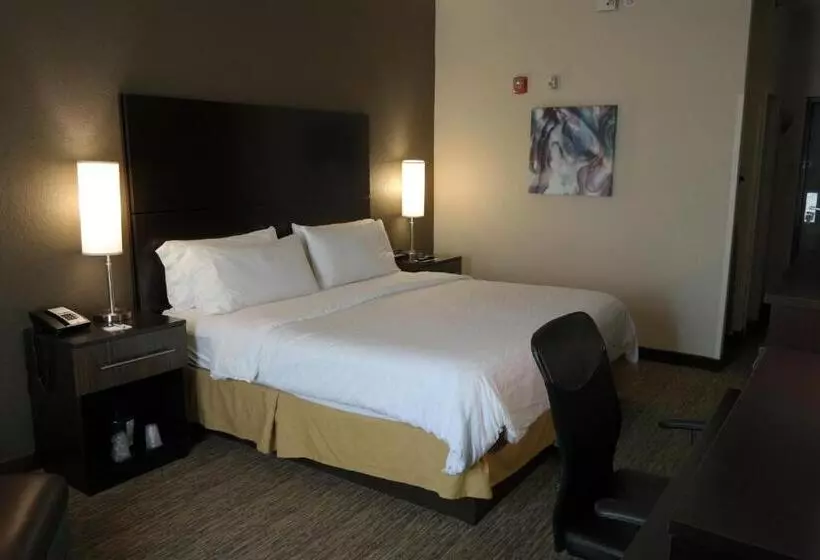 キングサイズベッドのスタンダードルーム, Holiday Inn Express Fredericksburg   Southpoint, An Ihg
