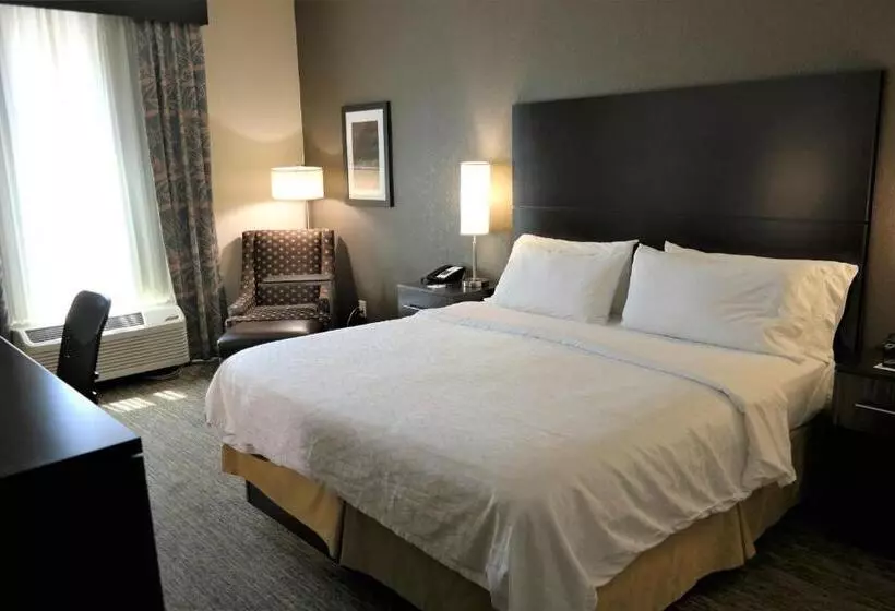 身障者適用キングサイズベッドルーム, Holiday Inn Express Fredericksburg   Southpoint, An Ihg