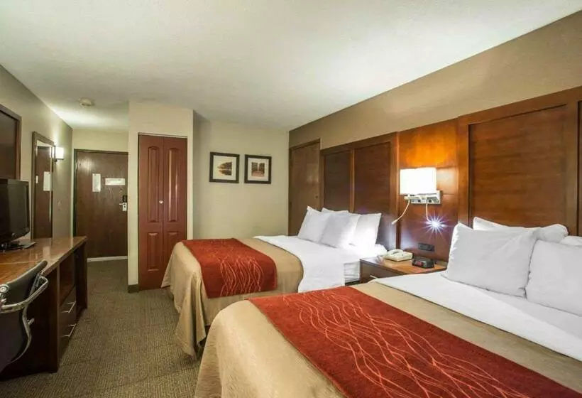 ２ダブルベッドのスタンダードルーム, Quality Inn & Suites Boonville   Columbia