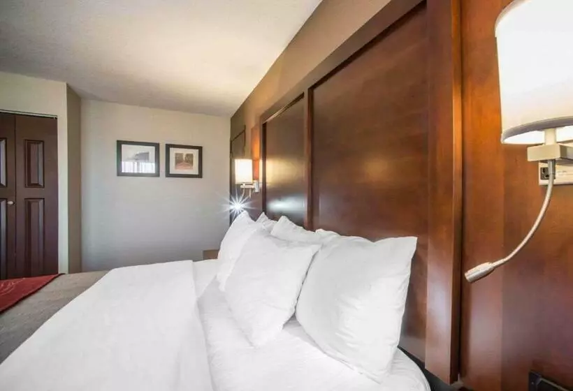 キングサイズベッドのスタンダードルーム, Quality Inn & Suites Boonville   Columbia