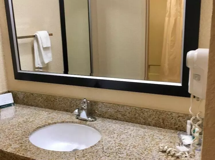 スイート, Quality Suites Hickory South
