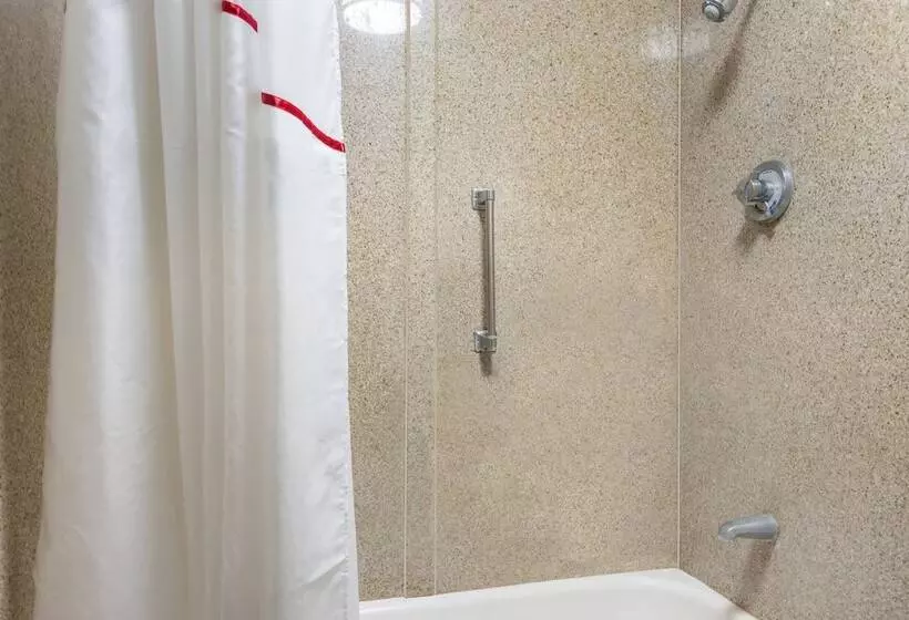 Deluxe-huone, Red Roof Inn Savannah  Southside/midtown
