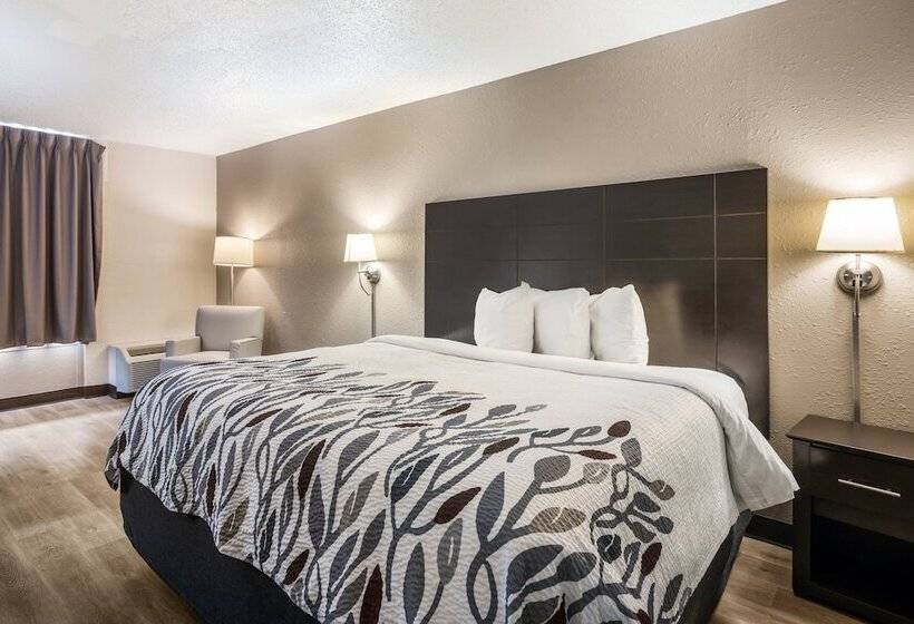 Номер Deluxe, Red Roof Inn Savannah  Southside/midtown