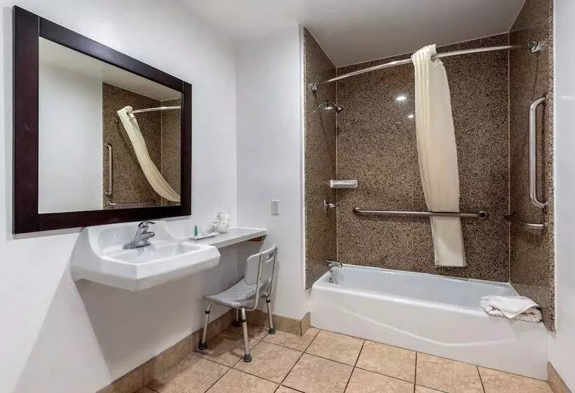 اتاق استاندارد برای معلولان, Rodeway Inn Carson  Los Angeles South