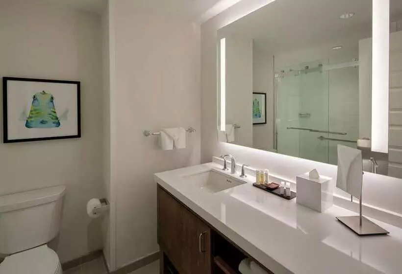 キングサイズベッドのスイートルーム, Embassy Suites By Hilton Deerfield Beach Resort & Spa