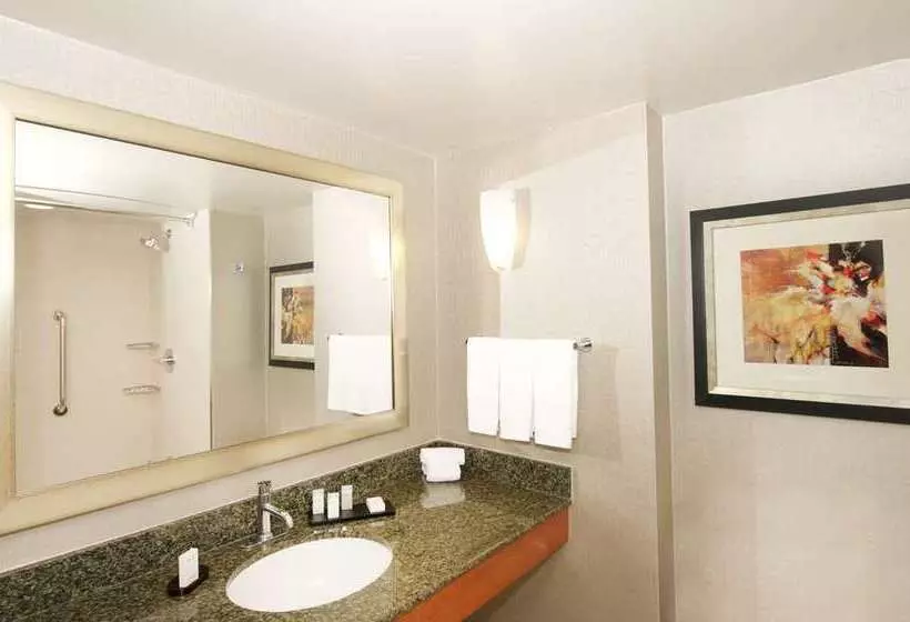 キングサイズベッドのスタンダードルーム, Embassy Suites By Hilton Deerfield Beach Resort & Spa