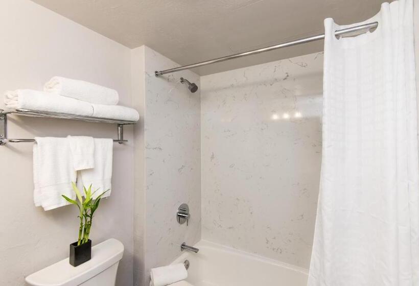 جناح سرير كينج, Flamingo Resort & Spa