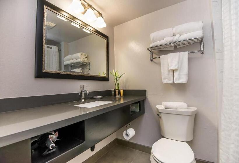 جناح سرير كينج, Flamingo Resort & Spa