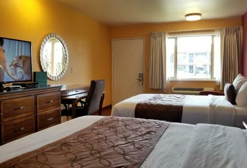 标准间, The Forks Motel