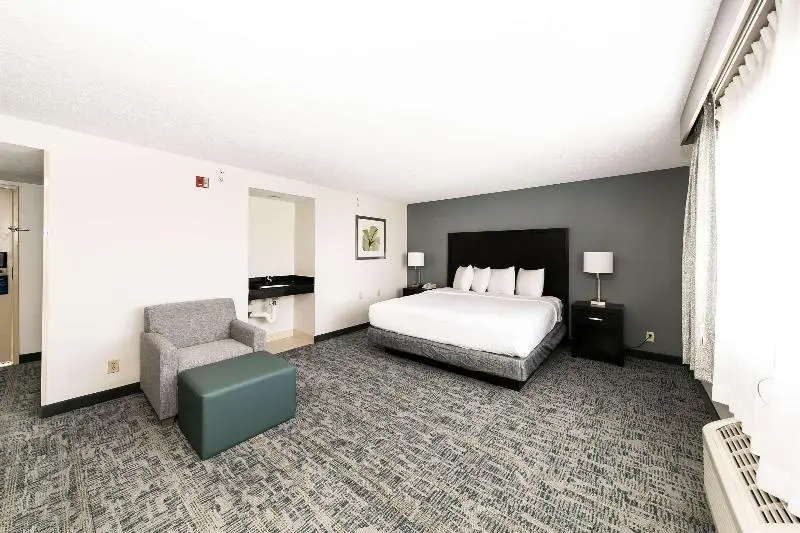 Standard Room King Bed Adapted for people with reduced mobility